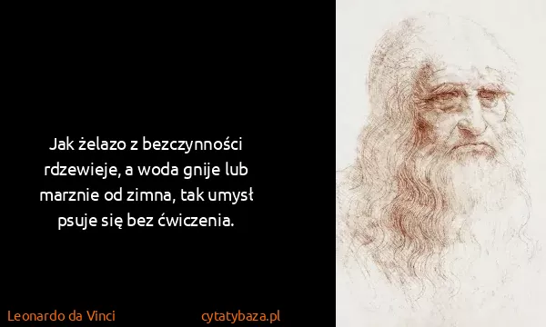 Leonardo da Vinci: Jak żelazo z bezczynności rdzewieje, a woda gnije lub...