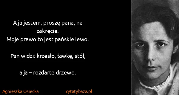 Agnieszka Osiecka: A ja jestem, proszę pana, na zakręcie.
Moje prawo to...
