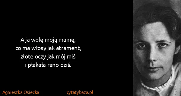 Agnieszka Osiecka: A ja wolę moją mamę,
co ma włosy jak atrament,
złote...