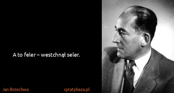 Jan Brzechwa: A to feler – westchnął seler.
