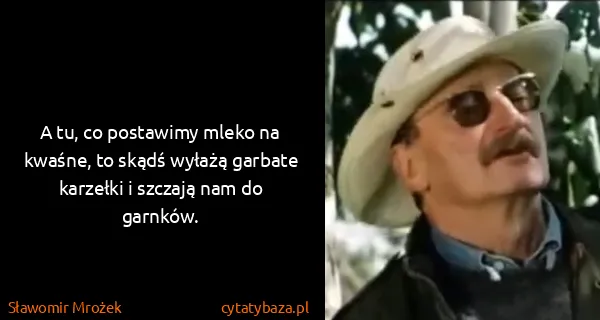 Sławomir Mrożek: A tu, co postawimy mleko na kwaśne, to skądś wyłażą...