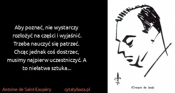 Antoine de Saint-Exupéry: Aby poznać, nie wystarczy rozłożyć na części i wyjaśnić....