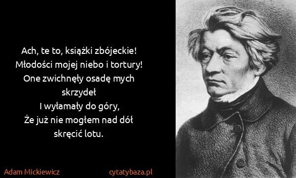 Adam Mickiewicz: Ach, te to, książki zbójeckie!
 Młodości mojej niebo i...