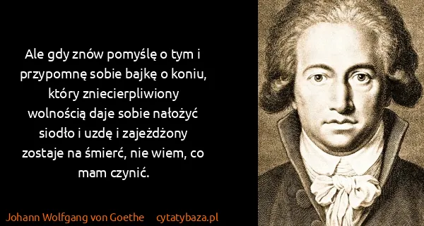 Johann Wolfgang von Goethe: Ale gdy znów pomyślę o tym i przypomnę sobie bajkę o...