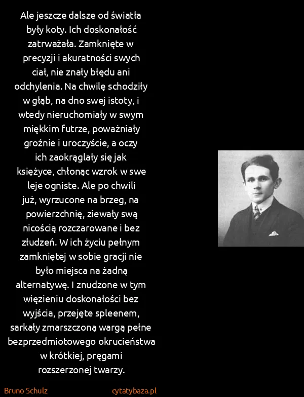 Bruno Schulz: Ale jeszcze dalsze od światła były koty. Ich doskonałość...