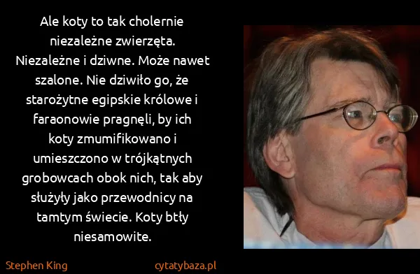 Stephen King: Ale koty to tak cholernie niezależne zwierzęta....