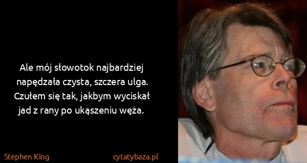 Stephen King: Ale mój słowotok najbardziej napędzała czysta, szczera...