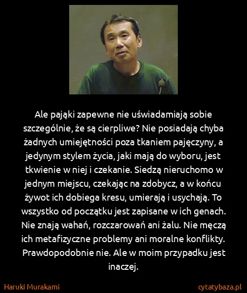 Haruki Murakami: Ale pająki zapewne nie uświadamiają sobie szczególnie,...