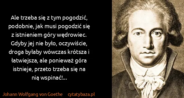 Johann Wolfgang von Goethe: Ale trzeba się z tym pogodzić, podobnie, jak musi...