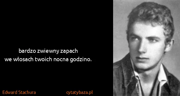 Edward Stachura: bardzo zwiewny zapach
we włosach twoich nocna godzino.