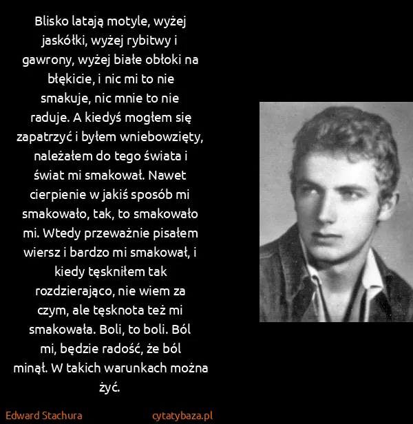 Edward Stachura: Blisko latają motyle, wyżej jaskółki, wyżej rybitwy i...