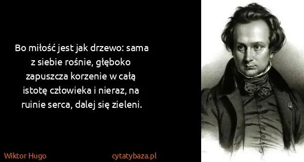 Wiktor Hugo: Bo miłość jest jak drzewo: sama z siebie rośnie, głęboko...