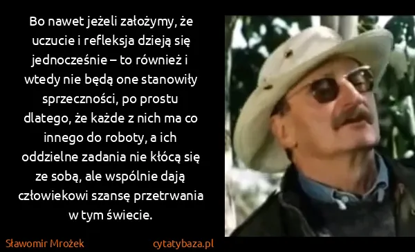 Sławomir Mrożek: Bo nawet jeżeli założymy, że uczucie i refleksja dzieją...