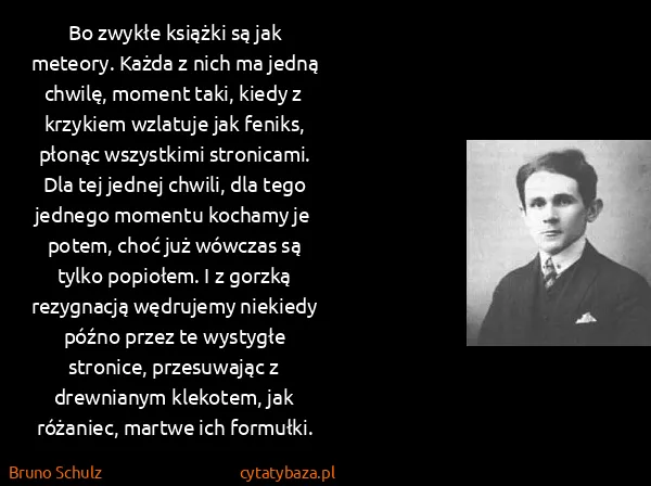 Bruno Schulz: Bo zwykłe książki są jak meteory. Każda z nich ma jedną...
