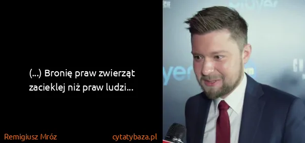 Remigiusz Mróz: (...) Bronię praw zwierząt zacieklej niż praw ludzi...