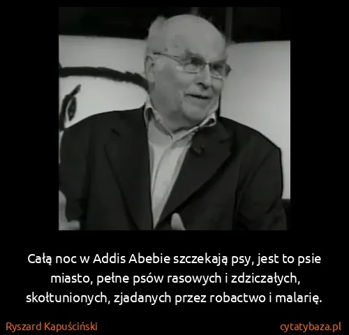 Ryszard Kapuściński: Całą noc w Addis Abebie szczekają psy, jest to psie...