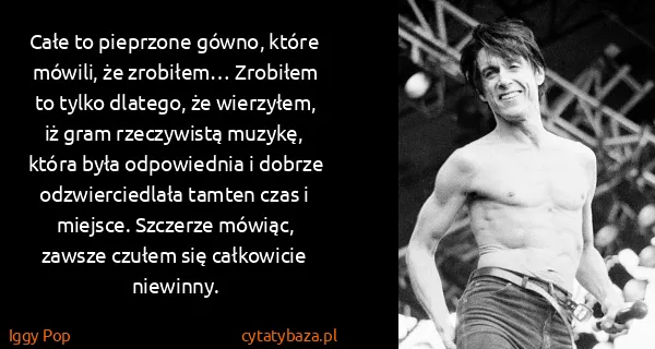 Iggy Pop: Całe to pieprzone gówno, które mówili, że zrobiłem…...