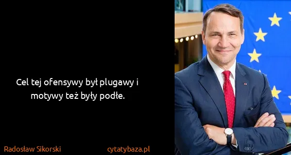 Radosław Sikorski: Cel tej ofensywy był plugawy i motywy też były podłe.