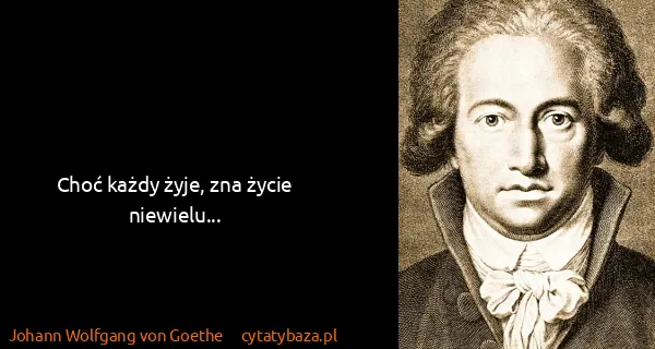 Johann Wolfgang von Goethe: Choć każdy żyje, zna życie niewielu...
