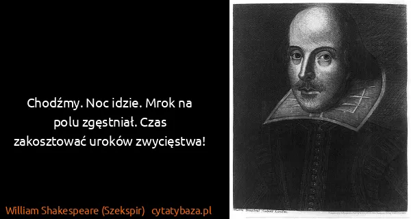 William Shakespeare (Szekspir): Chodźmy. Noc idzie. Mrok na polu zgęstniał. Czas...