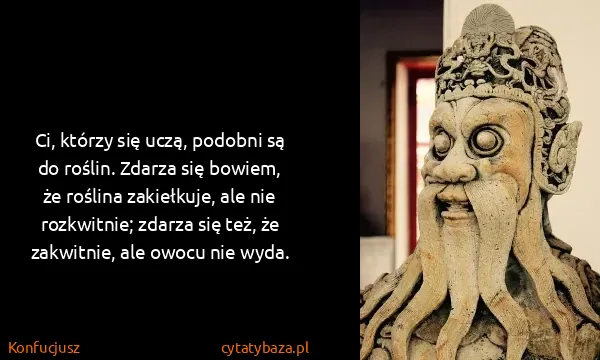 Konfucjusz: Ci, którzy się uczą, podobni są do roślin. Zdarza się...