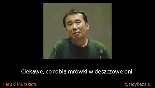 Haruki Murakami: Ciekawe, co robią mrówki w deszczowe dni.