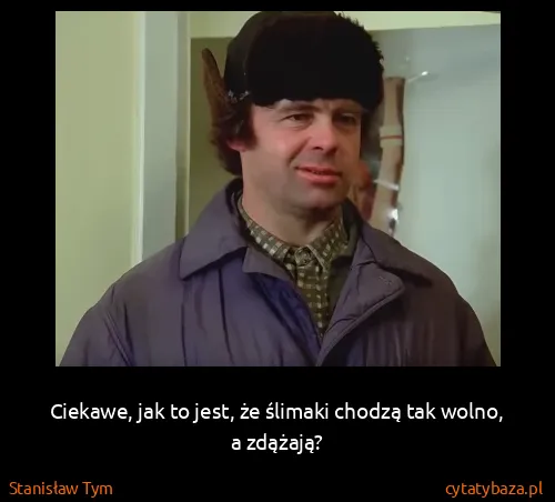 Stanisław Tym: Ciekawe, jak to jest, że ślimaki chodzą tak wolno, a...