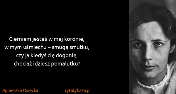 Agnieszka Osiecka: Cierniem jesteś w mej koronie,
w mym uśmiechu – smugą...