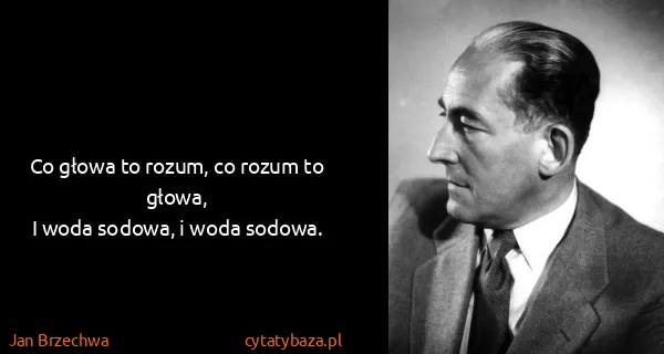 Jan Brzechwa: Co głowa to rozum, co rozum to głowa,
I woda sodowa, i...
