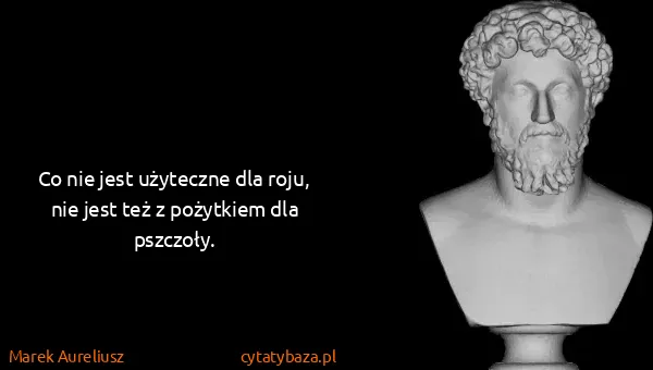 Marek Aureliusz: Co nie jest użyteczne dla roju, nie jest też z pożytkiem...