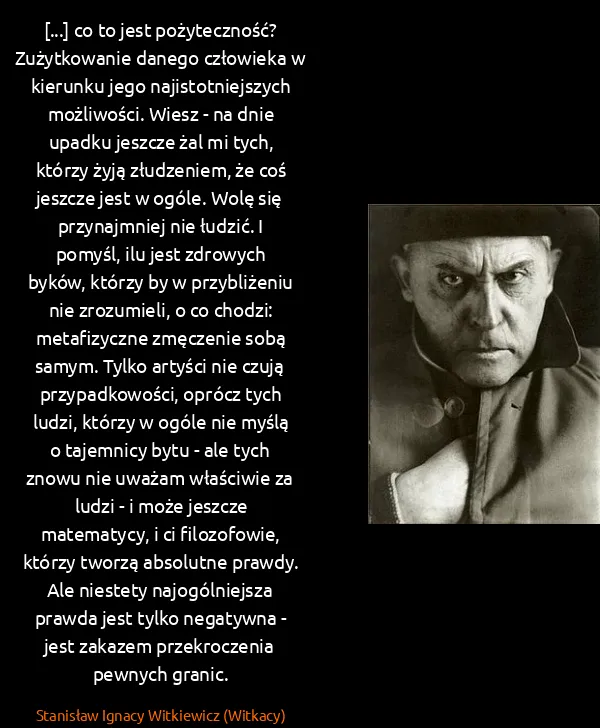 Stanisław Ignacy Witkiewicz (Witkacy): [...] co to jest pożyteczność? Zużytkowanie danego...