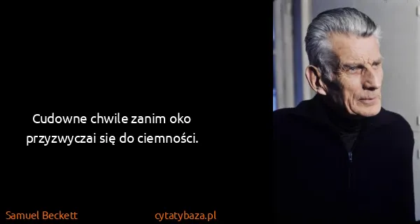 Samuel Beckett: Cudowne chwile zanim oko przyzwyczai się do ciemności.