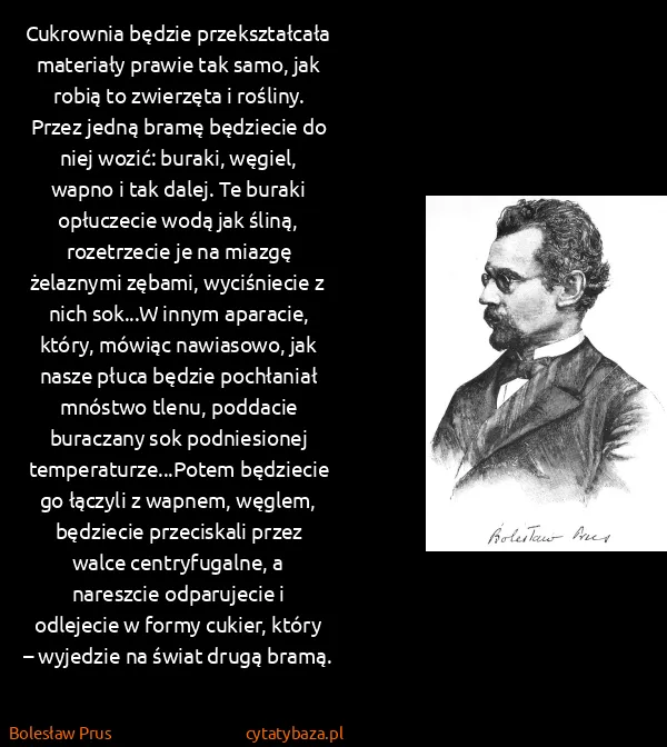 Bolesław Prus: Cukrownia będzie przekształcała materiały prawie tak...