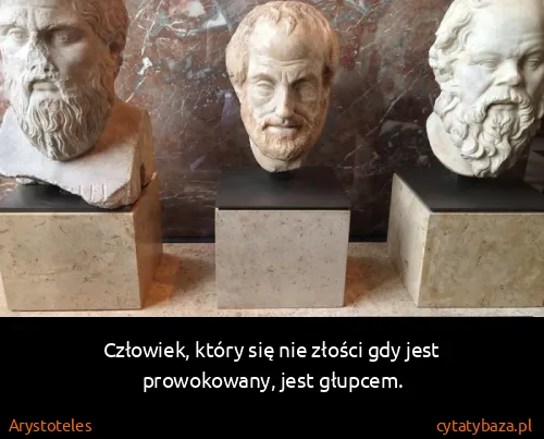 Arystoteles: Człowiek, który się nie złości gdy jest prowokowany,...