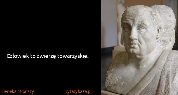 Seneka Młodszy: Człowiek to zwierzę towarzyskie.