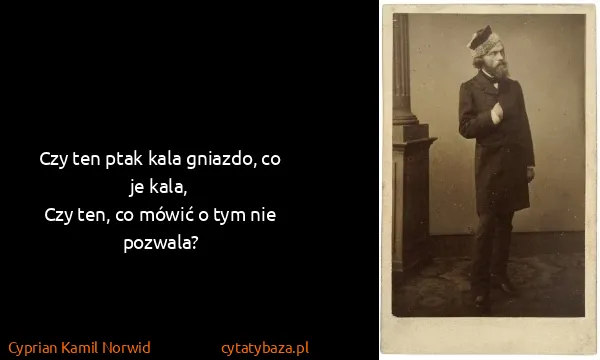 Cyprian Kamil Norwid: Czy ten ptak kala gniazdo, co je kala,
Czy ten, co...