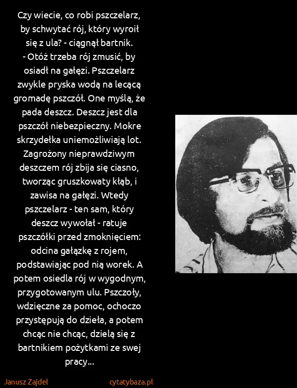 Janusz Zajdel: Czy wiecie, co robi pszczelarz, by schwytać rój, który...