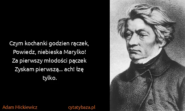 Adam Mickiewicz: Czym kochanki godzien rączek,
Powiedz, niebieska...