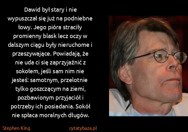 Stephen King: Dawid był stary i nie wypuszczał się już na podniebne...
