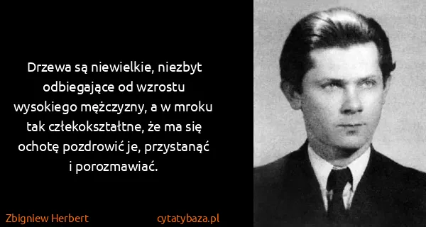 Zbigniew Herbert: Drzewa są niewielkie, niezbyt odbiegające od wzrostu...