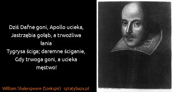 William Shakespeare (Szekspir): Dziś Dafne goni, Apollo ucieka,
Jastrzębia gołąb, a...