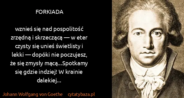 Johann Wolfgang von Goethe: FORKIADA

wznieś się nad pospolitość zrzędną i...