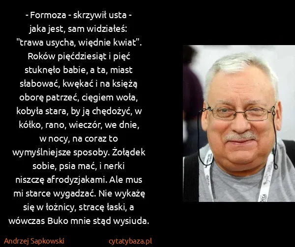 Andrzej Sapkowski: - Formoza - skrzywił usta - jaka jest, sam widziałeś:...