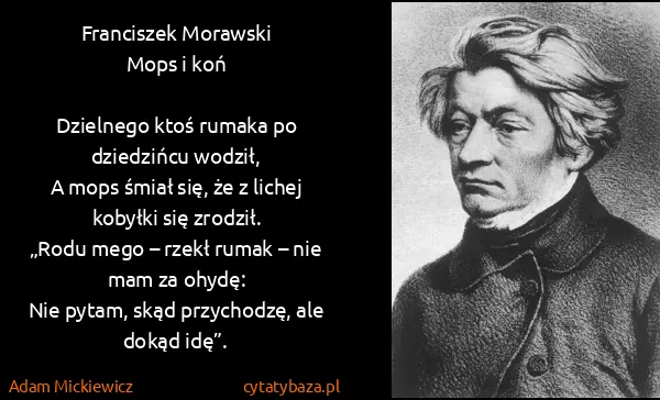Adam Mickiewicz: Franciszek Morawski
Mops i koń

Dzielnego ktoś rumaka po...