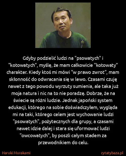 Haruki Murakami: Gdyby podzielić ludzi na "psowatych" i "kotowatych",...