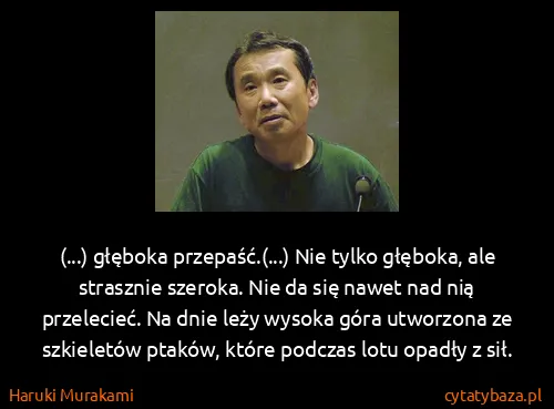 Haruki Murakami: (...) głęboka przepaść.(...) Nie tylko głęboka, ale...