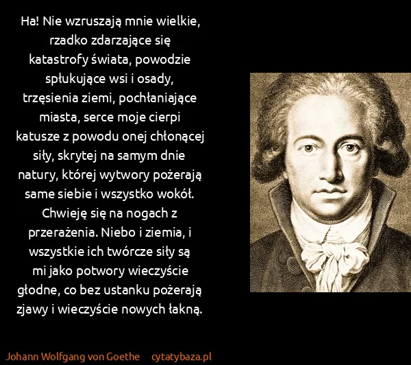 Johann Wolfgang von Goethe: Ha! Nie wzruszają mnie wielkie, rzadko zdarzające się...