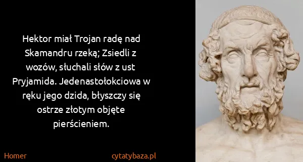 Homer: Hektor miał Trojan radę nad Skamandru rzeką; Zsiedli z...
