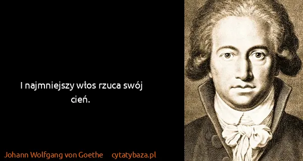 Johann Wolfgang von Goethe: I najmniejszy włos rzuca swój cień.