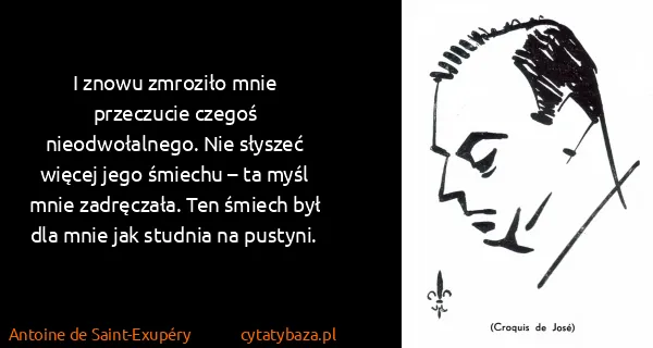 Antoine de Saint-Exupéry: I znowu zmroziło mnie przeczucie czegoś nieodwołalnego....